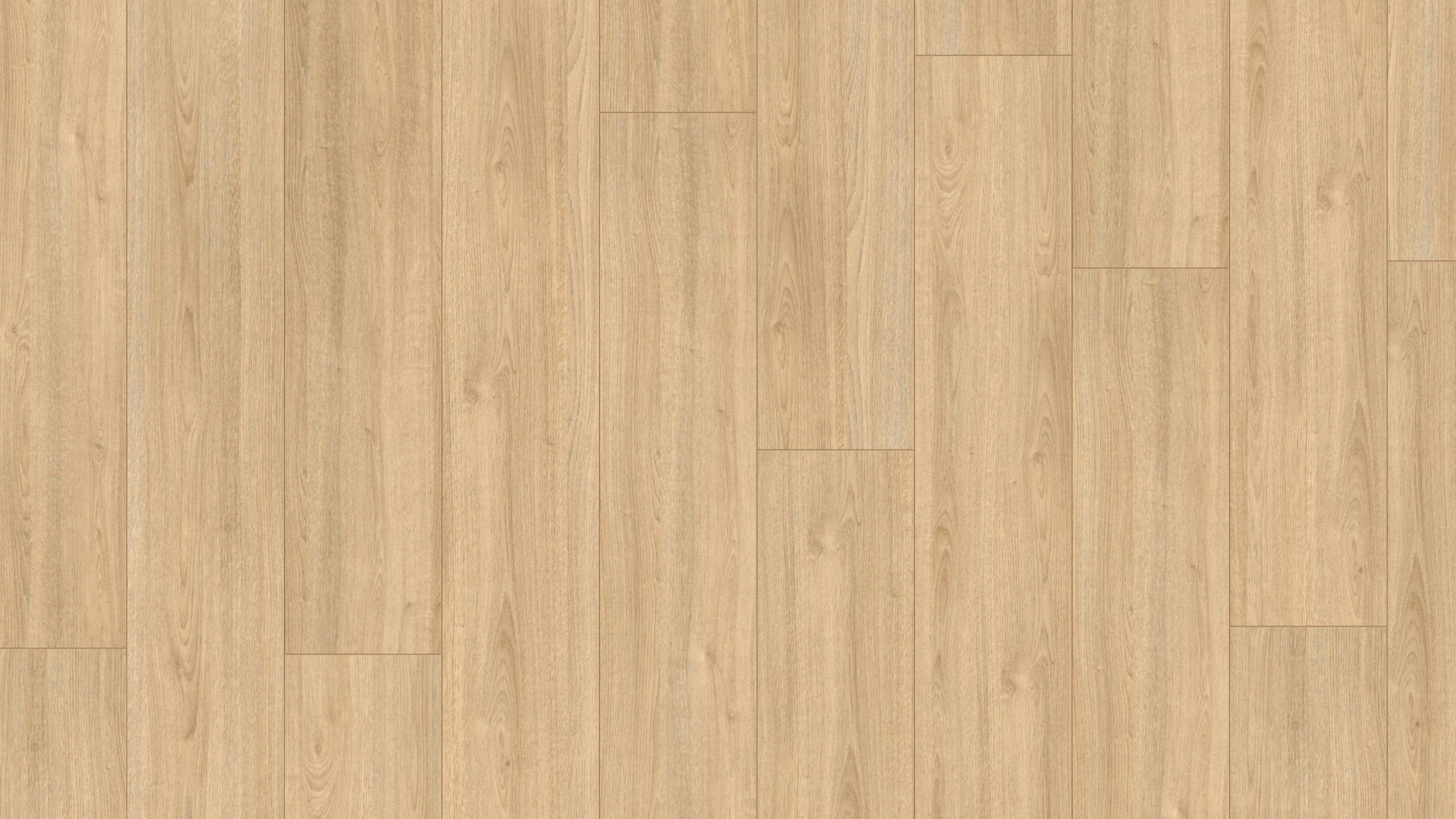 Laminat Egger Basic Charlotte Eiche natur